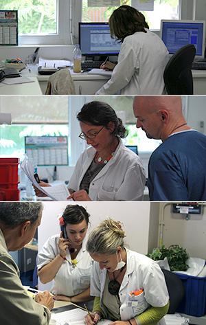 Preparations are controlled by pharmacists, a nurse<br />and the chemotherapy treatment supervisor.